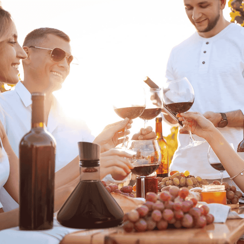 Carafe à Décanter Vin avec Couvercle Verseur - Wior